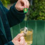 GREEN TEA