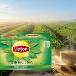 GREEN TEA