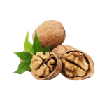 WALNUTS